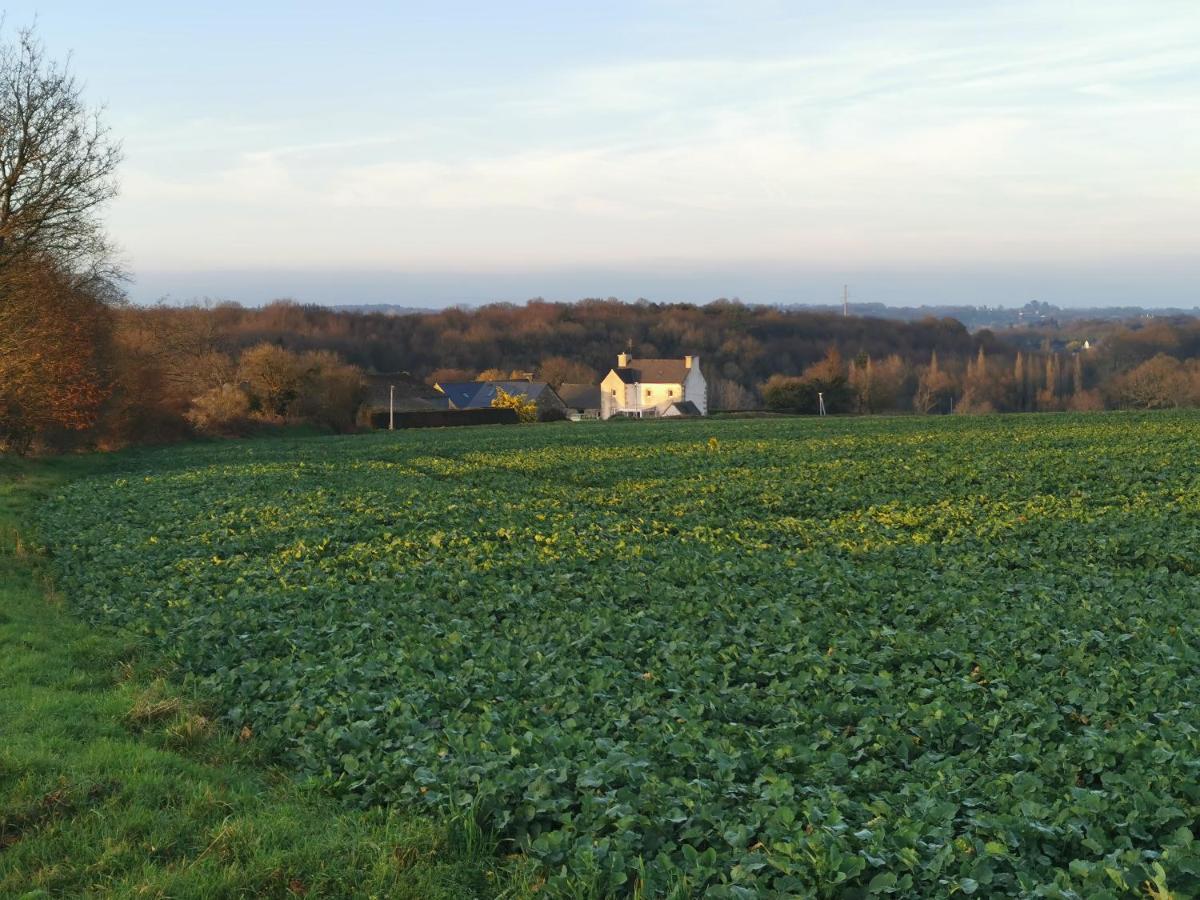 Les Gites De L'Hermine Plouigneau Buitenkant foto